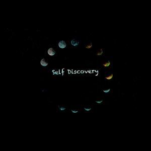 Self Discovery (Explicit)