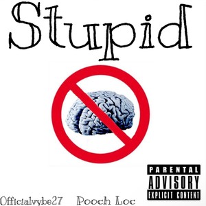Stupid (feat. Official Vybe & Pooch Loc) [Explicit]