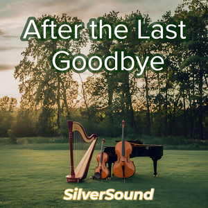 After the Last Goodbye (Explicit)