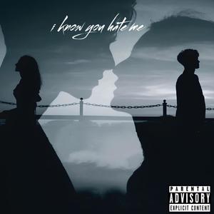 i know you hate me (Explicit)