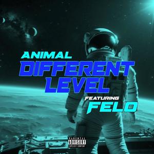 Different Level (feat. Felo Aka Felony) (Explicit)
