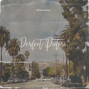Perfect Picture (Instrumental)