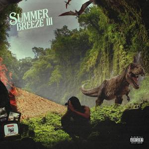 Summer Breeze 3 (Explicit)