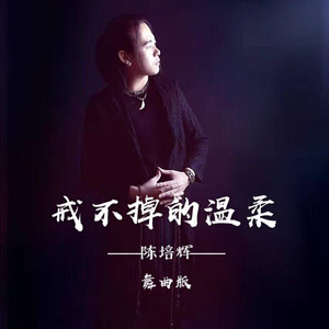 戒不掉的温柔 (舞曲版)