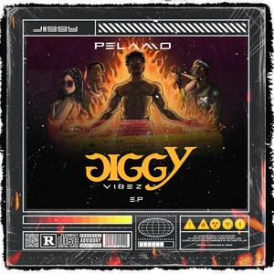 JIGGY VIBEZ (Explicit)