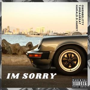 I'm Sorry (feat. TJMDAGREAT & Harald D Harry) [Explicit]