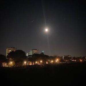 Looking onwards (Explicit)