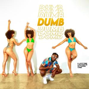 DUMB (Explicit)