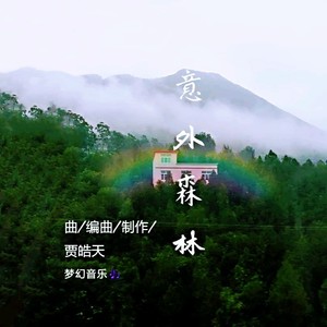 意外森林 (纯音乐)