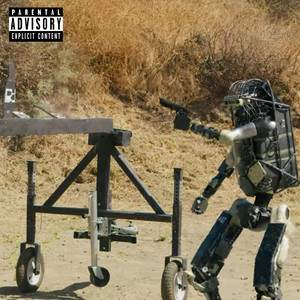 DYSFUNCTIONAL (Explicit)