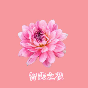 具光佛母赞