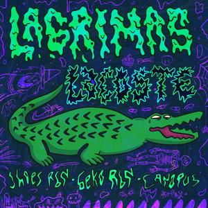 Lagrimas Lacoste (feat. Geko Rbn & Canopus) [Explicit]