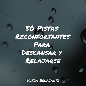 Calma Duradera