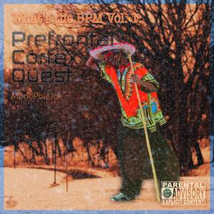 Prefrontal Cortex Quest (Explicit)