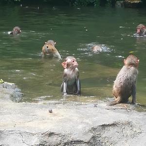 Если хочешь (Explicit)