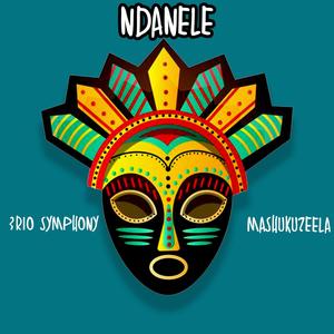 Ndanele (feat. Mashukuzeela)