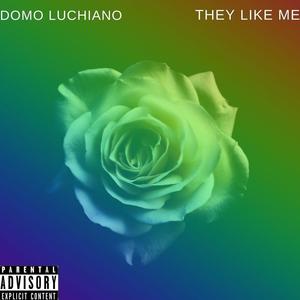 They Like Me (Explicit)