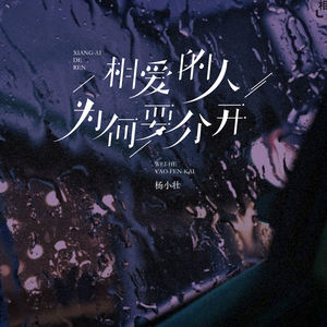 相爱的人为何要分开 (DJ亦辰版)封面