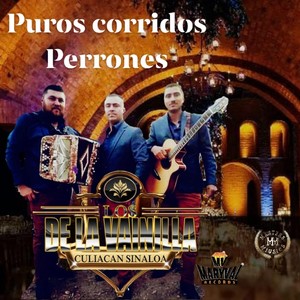 Puros Corridos Perrones