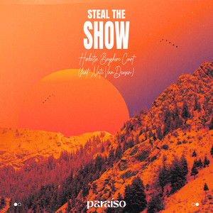 Steal The Show (feat. Nate VanDeusen)