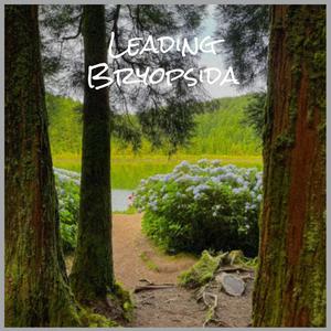 Leading Bryopsida