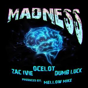 Madness (feat. Zac Ivie & Dumb Luck) [Explicit]