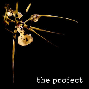 The Project