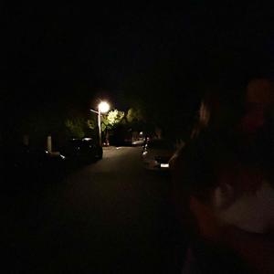 fireflies