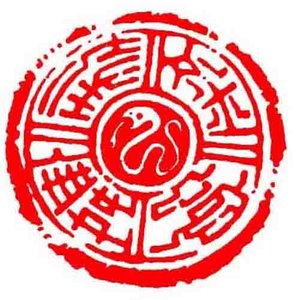 金蛇狂舞封面