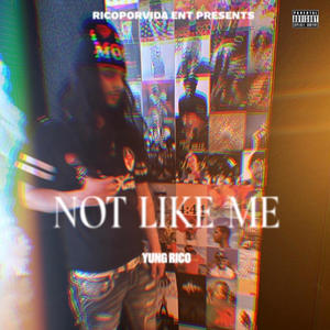 Not Like Me (Explicit)