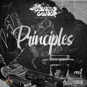 Principles (Explicit)