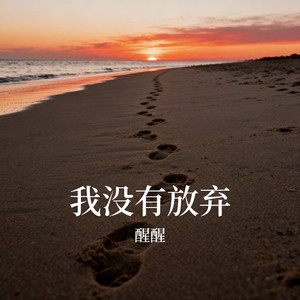 我没有放弃 (伴奏)