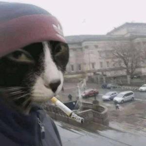 ART OF WAR (Explicit)