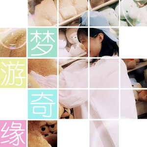 梦游奇缘