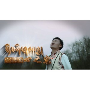 心之宠