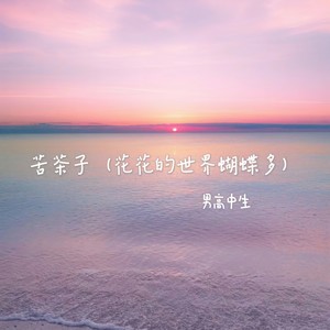 苦茶子(花花的世界蝴蝶多)
