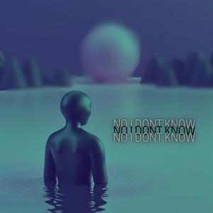 NO I DONT KNOW (Explicit)
