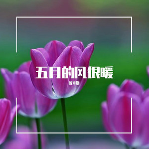 如果呢-波帝斯