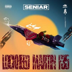 Lockheed Martin F-35 (Explicit)