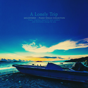 방황하는 밤 (A stray night)