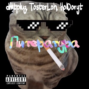 Литература (Explicit)