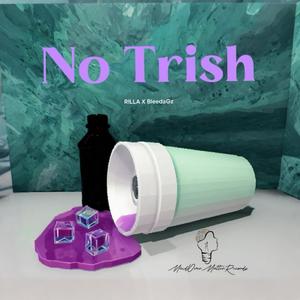 No Trish (feat. BleedaGz) (Explicit)