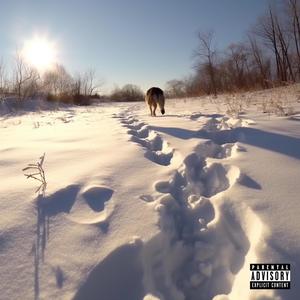 Number 15 (Explicit)