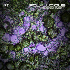 The Situatio (Original Mix)