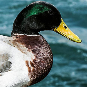 类似于你看不出记忆都是被筛选过的