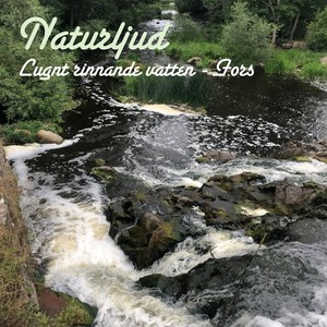 Lugnt Rinnande Vatten - Fors