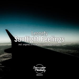 Sunflight Feelings (DTALM Remix)