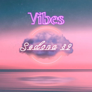 Vibes (Radio Edit)