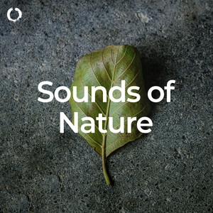 Sounds of Nature: Deep Sleep