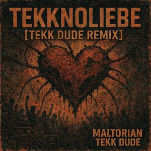 Tekknoliebe (Tekk Dude Remix)